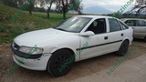  VECTRA B